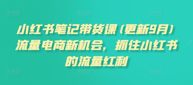 小红书笔记带货课(更新12月)流量电商新机会，抓住小红书的流量红利-小宇资源站
