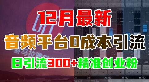 12月最新：音频平台0成本引流，日引流300+精准创业粉-小宇资源站