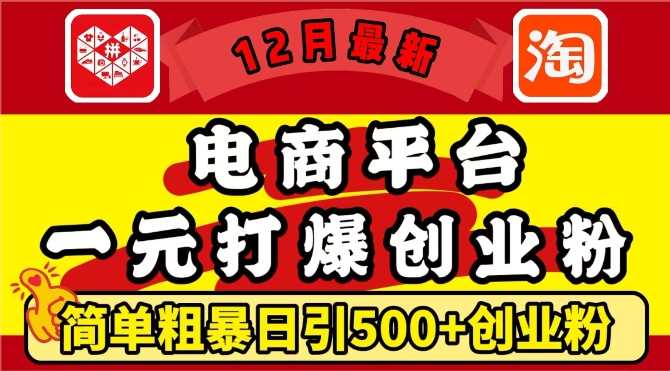 12月最新：电商平台1元打爆创业粉，简单粗暴日引500+精准创业粉，轻松月入过W【揭秘】-小宇资源站