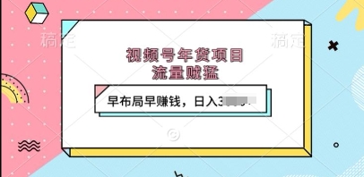 视频号年货项目，流量贼猛，早布局早挣钱，日入上k【揭秘】-小宇资源站