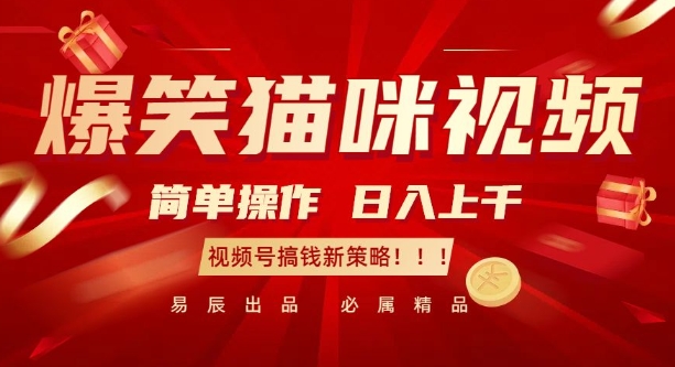 爆笑猫咪视频：简单操作，日入过K，视频号搞钱新策略【揭秘】-小宇资源站