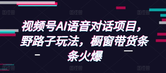 视频号AI语音对话项目，野路子玩法，橱窗带货条条火爆-小宇资源站