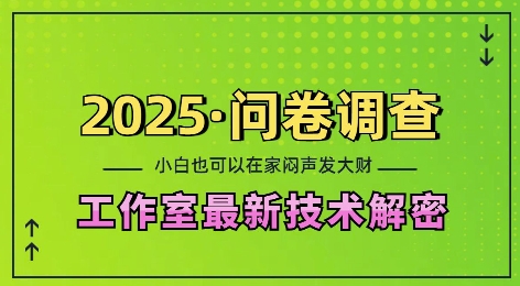 2025问卷调查最新工作室技术解密：一个人在家也可以闷声发大财，小白一天2张，可矩阵放大【揭秘】-小宇资源站