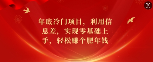 年底冷门项目，利用信息差，实现零基础上手，轻松赚个肥年钱【揭秘】-小宇资源站