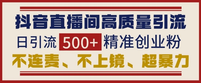 抖音直播间引流创业粉，无需连麦、不用上镜、超暴力，日引流500+高质量精准创业粉-小宇资源站