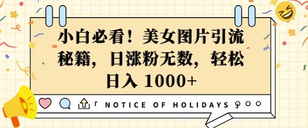 小白必看，美女图片引流秘籍，日涨粉无数，轻松日入几张【揭秘】-小宇资源站