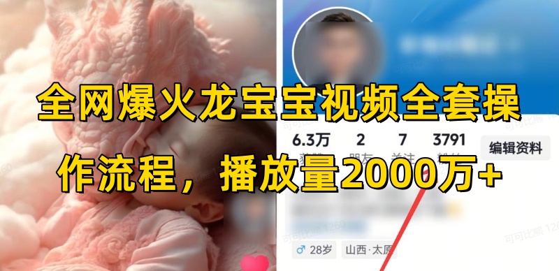 全网爆火龙宝宝视频全套操作流程，播放量2000万+-小宇资源站