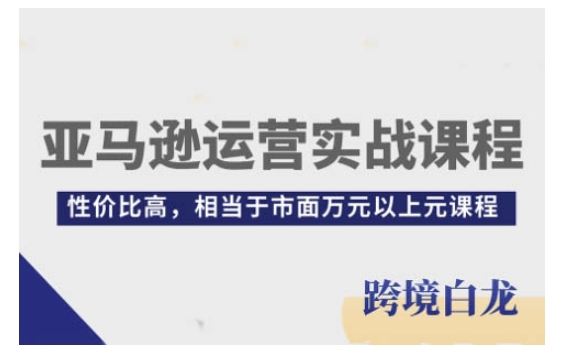 亚马逊运营实战课程，亚马逊从入门到精通，性价比高，相当于市面万元以上元课程-小宇资源站