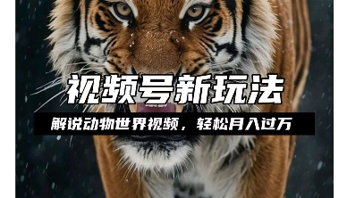 利用动物世界解说视频，赚分成计划收益，轻松月入过W，操作简单【揭秘】-小宇资源站