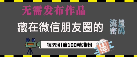 藏在微信朋友圈的流量密码，无需发布作品，单日引流100+精准创业粉【揭秘】-小宇资源站