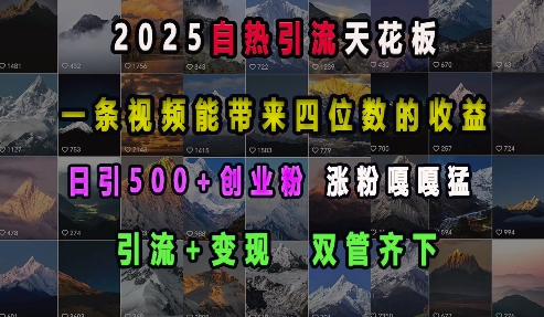 2025自热引流天花板，一条视频能带来四位数的收益，引流+变现双管齐下，日引500+创业粉，涨粉嘎嘎猛-小宇资源站