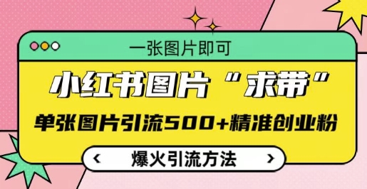 小红书图片‘求带’爆火引流法，单张图片引流500+精准创业粉【揭秘】-小宇资源站