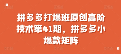 拼多多打爆班原创高阶技术第41期，拼多多小爆款矩阵-小宇资源站
