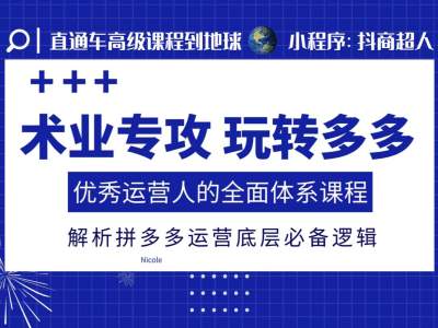 术业专攻玩转多多，优秀运营人的全面体系课程，解析拼多多运营底层必备逻辑-小宇资源站