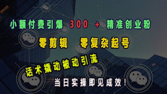 小额付费引爆 300 + 精准创业粉，零剪辑、零复杂起号，话术撬动被动引流，当日实操即见成效-小宇资源站