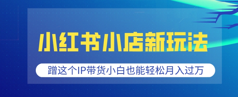 小红书小店新玩法，蹭这个IP带货，小白也能轻松月入过W【揭秘】-小宇资源站