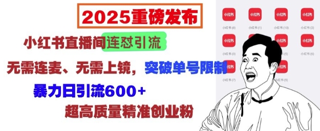 2025重磅发布：小红书直播间连怼引流，无需连麦、无需上镜，突破单号限制，暴力日引流600+-小宇资源站