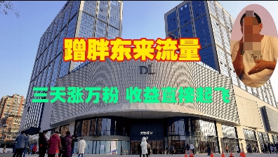 蹭胖东来流量，三天涨万粉，收益直接起飞-小宇资源站