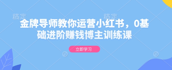 金牌导师教你运营小红书，0基础进阶赚钱博主训练课-小宇资源站