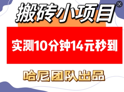 搬砖小项目，实测10分钟14元秒到，每天稳定几张(赠送必看稳定)-小宇资源站