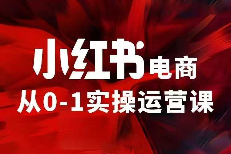 小红书电商运营，97节小红书vip内部课，带你实现小红书赚钱-小宇资源站