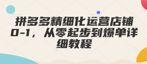 拼多多精细化运营店铺0-1，从零起步到爆单详细教程-小宇资源站