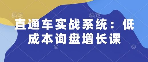 直通车实战系统：低成本询盘增长课，让个人通过技能实现升职加薪，让企业低成本获客，订单源源不断-小宇资源站