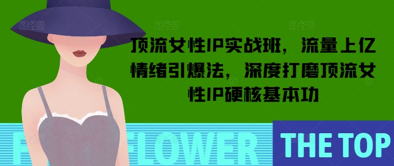 顶流女性IP实战班，流量上亿情绪引爆法，深度打磨顶流女性IP硬核基本功-小宇资源站