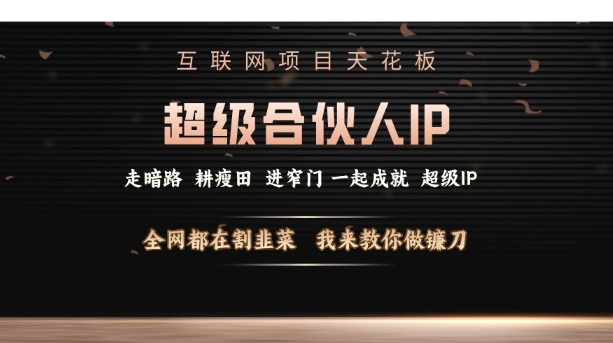 互联网项目天花板，超级合伙人IP，全网都在割韭菜，我来教你做镰刀【仅揭秘】-小宇资源站