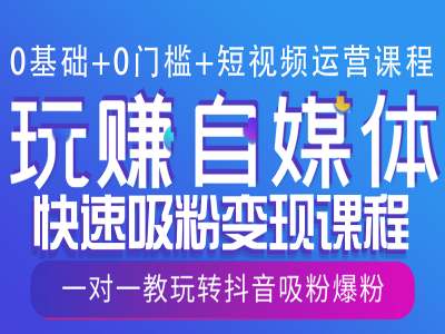 0基础+0门槛+短视频运营课程，玩赚自媒体快速吸粉变现课程，一对一教玩转抖音吸粉爆粉-小宇资源站