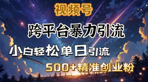 跨平台暴力引流，私域完美闭环，日引500+精准创业粉-小宇资源站