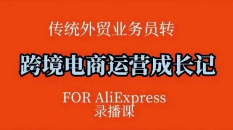 跨境电商速卖通运营课，​运营方法论+后台实操，逻辑清晰-小宇资源站