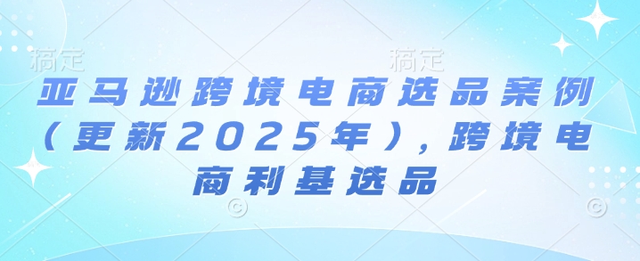 亚马逊跨境电商选品案例(更新2025年2月)，跨境电商利基选品-小宇资源站