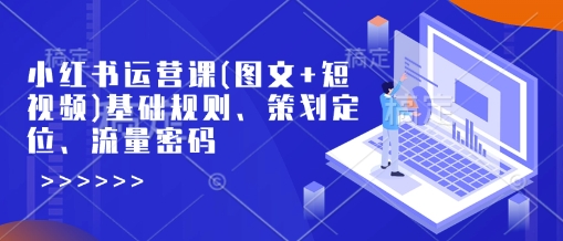 小红书运营课(图文+短视频)基础规则、策划定位、流量密码-小宇资源站