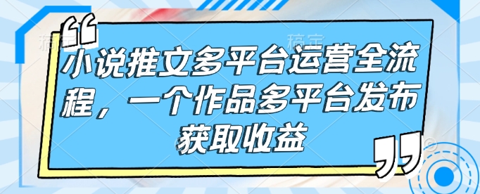 小说推文多平台运营全流程，一个作品多平台发布获取收益-小宇资源站