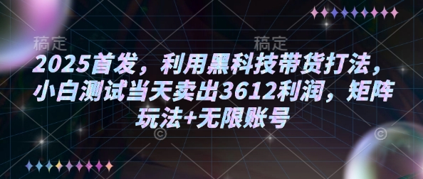 2025首发，利用黑科技带货打法，小白测试当天卖出3612利润，矩阵玩法+无限账号【揭秘】-小宇资源站