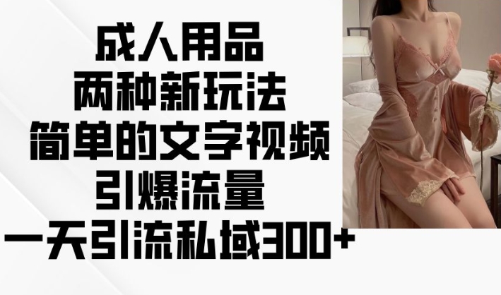 成人用品两种新玩法，简单的文字视频引爆流量，一天引流私域300+-小宇资源站