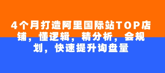 4个月打造阿里国际站TOP店铺，懂逻辑，精分析，会规划，快速提升询盘量-小宇资源站