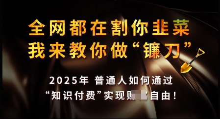 知识付费如何做到月入过W+，2025我来教你做“镰刀”【揭秘】-小宇资源站