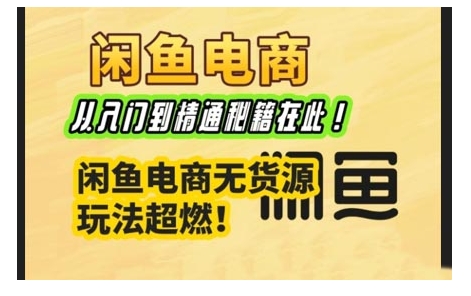 闲鱼电商实战课，从入门到精通秘籍在此，闲鱼电商无货源玩法超燃!-小宇资源站