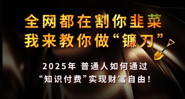 全网都在割你韭菜，我来教你做镰刀，2025年普通人如何通过 知识付费 实现财F自由【揭秘】-小宇资源站