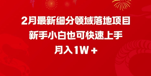 2月最新细分领域落地项目，新手小白也可快速上手，月入1W-小宇资源站