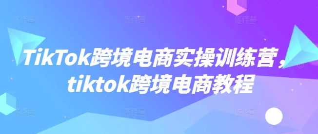 TikTok跨境电商实操训练营，tiktok跨境电商教程-小宇资源站