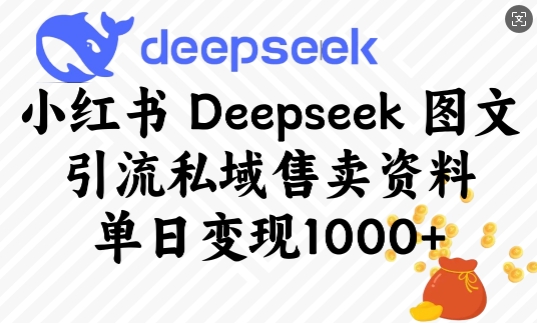 小红书Deepseek图文引流私域售卖资料，单日变现多张-小宇资源站