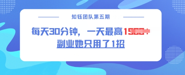 副业她只用了1招，每天30分钟，无脑二创，一天最高1.5k-小宇资源站