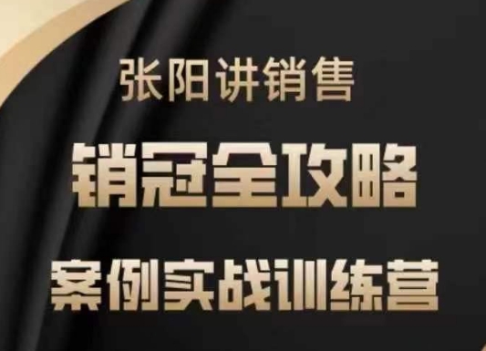 张阳讲销售实战训练营，​案例实战训练，销冠全攻略-小宇资源站
