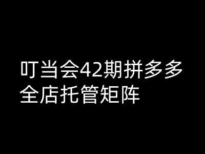 叮当会拼多多打爆班原创高阶技术第42期，拼多多全店托管矩阵-小宇资源站