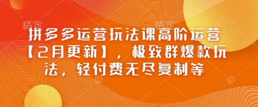 拼多多运营玩法课高阶运营【2月更新】，极致群爆款玩法，轻付费无尽复制等-小宇资源站