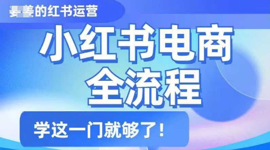 小红书电商全流程，精简易懂，从入门到精通，学这一门就够了-小宇资源站