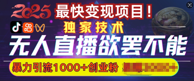 欲罢不能的无人直播引流，超暴力日引流1000+高质量精准创业粉-小宇资源站